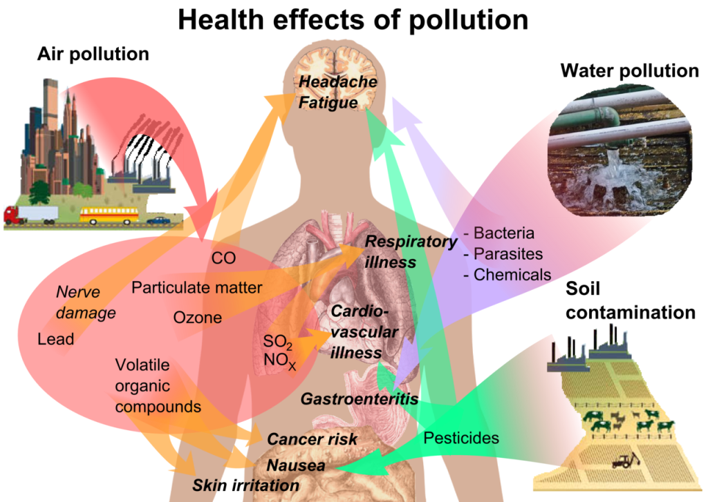 Les principaux impacts des changements climatiques sur la santé : l ...