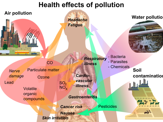 Les principaux impacts des changements climatiques sur la santé : l’action climatique ambitieuse peut être source de bonne santé