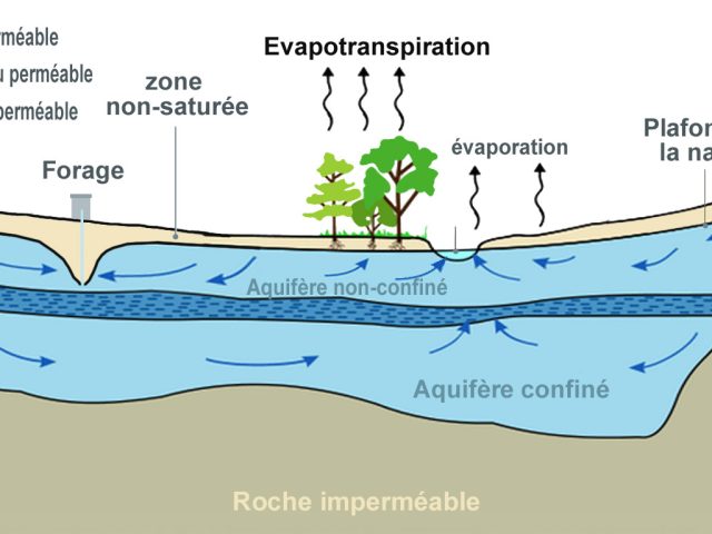 Risque de contamination de l'eau potable des puits en période d’inondation