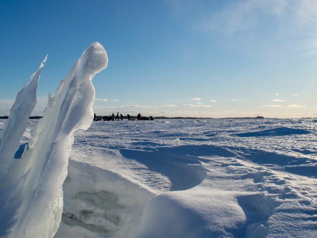 Glace, herbiers aquatiques et risques d’inondation au lac Saint-Pierre