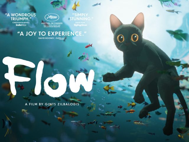 Flow, le chat qui n'avait plus peur de l'eau