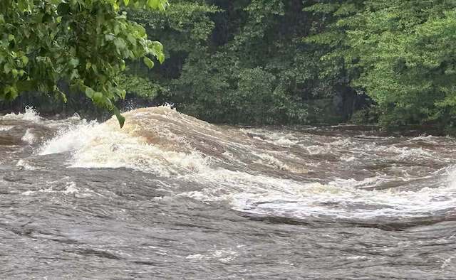 Modélisation et analyses empiriques de la capacité d'un milieu humide riverain à diminuer les crues en contexte de changements climatiques à la forêt Montmorency