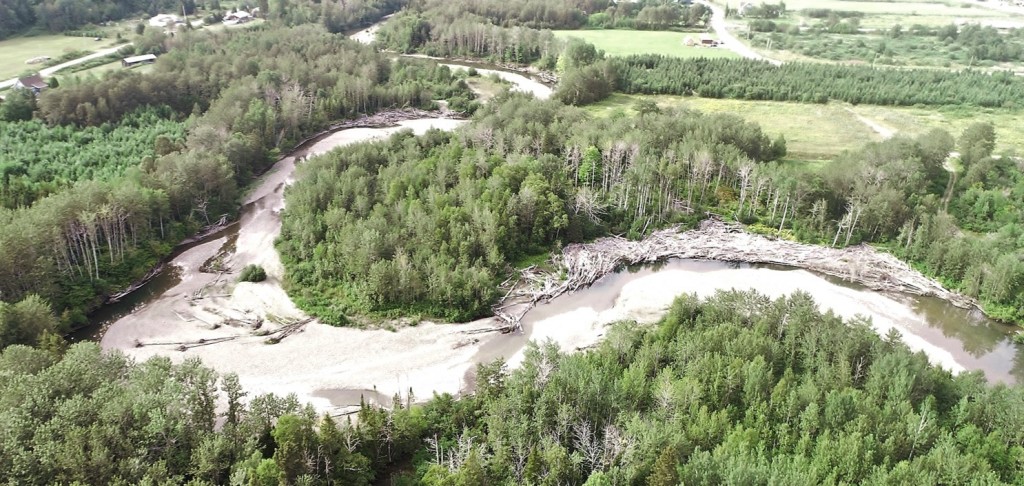 Guide d’analyse de la dynamique du bois en rivière : outils d’aide à la décision